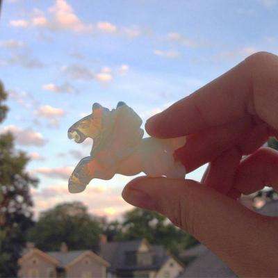 竞技宝app最新版本